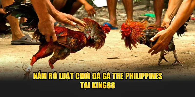 Nắm rõ luật chơi đá gà tre Philippines tại King88